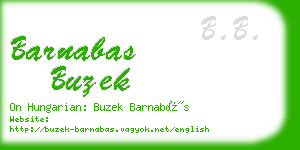 barnabas buzek business card